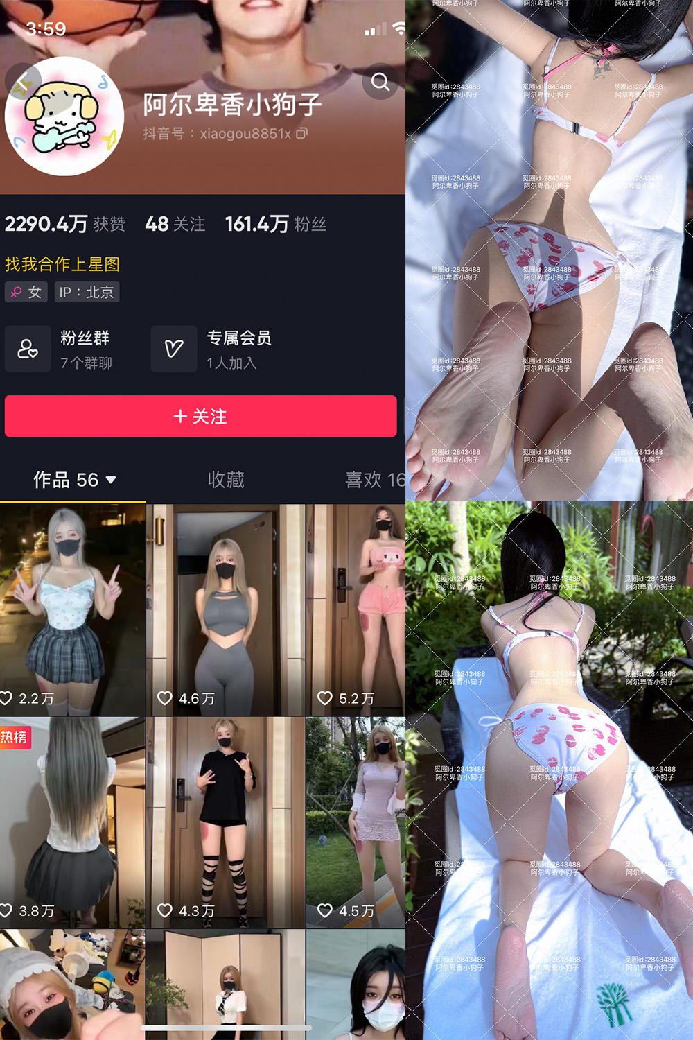 阿尔卑香小狗子 微密圈图片下载分享 NO.060期 【17P】最新至:2025.2.8 阿尔卑香小狗子 微密圈图片下载分享 NO.060期 【17P】最新至:2025.2.8
