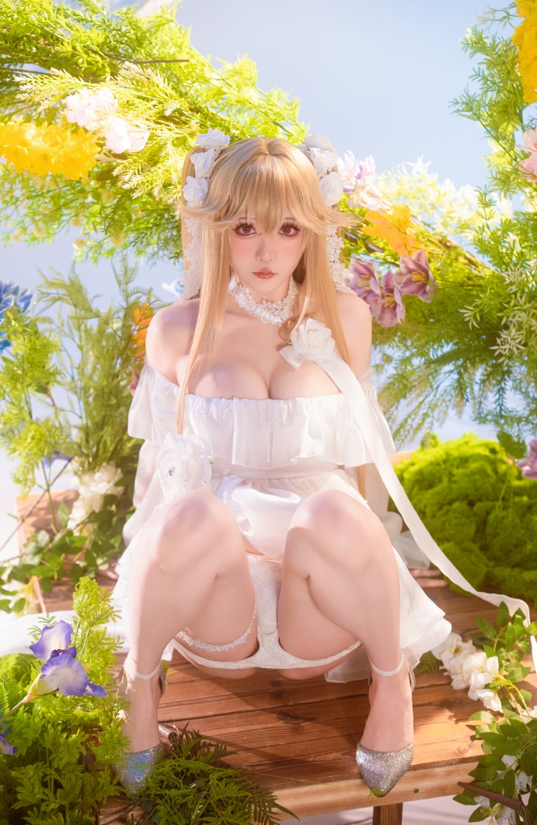 星之迟迟 2025年6月计划B 安克雷奇 (碧蓝航线)资源分享