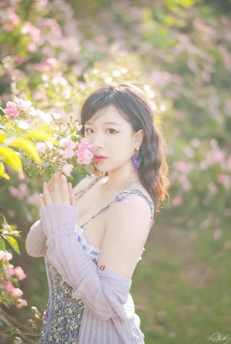 皮皮奶可可爱了啦 蔷薇花微博图片 皮皮奶可可爱了啦 蔷薇花微博图片